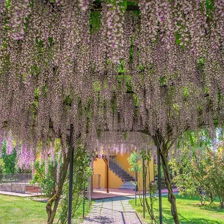 ホテル Sarzana-charming Pool And Bb サルツァーナ